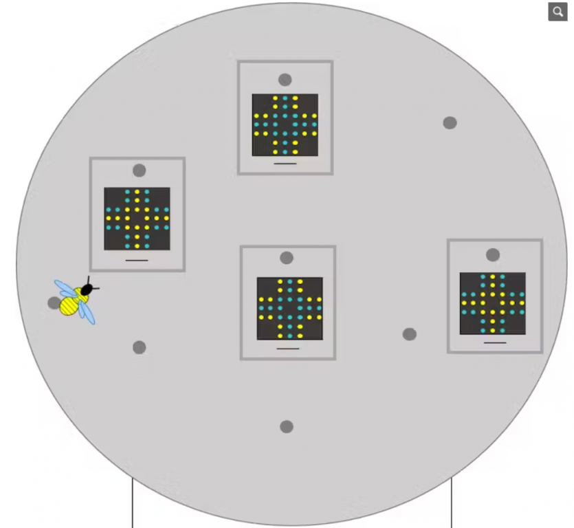 121316e893941a317208d11584b5165d_1705367236_1763.png